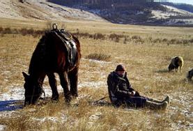 Volontär i Mongoliet : Kultur & Samhälle Volontär i Mongoliet : Kultur & Samhälle