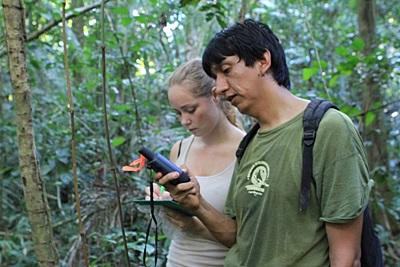 Volunteer on the Conservation Project Does Research in the Rainforest in Peru Gap Year volunteer and staff work in the Amazon Rainforest in Peru