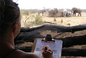 Volontärarbeta med Natur & Miljö : Sydafrika Volontärarbeta med Natur & Miljö : Sydafrika
