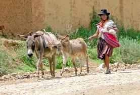 Volontärarbete i Bolivia : Språkkurs och språkresor Volontärarbete i Bolivia : Språkkurs och språkresor