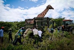 Natur och Miljöprojekt för ungdomar : Kenya Natur och Miljöprojekt för ungdomar : Kenya