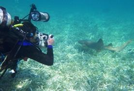 Natur och Miljöprojekt för ungdomar : Belize Natur och Miljöprojekt för ungdomar : Belize