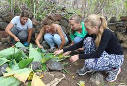 Natur och Miljöprojekt för ungdomar : Ecuador Natur och Miljöprojekt för ungdomar : Ecuador