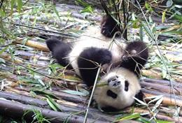 Ungdomsvolontär med barn & ungdom : Kina Ungdomsvolontär med barn & ungdom : Kina