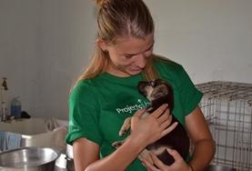 Volontär eller praktikant i Belize : Veterinär & Djurvård Volontär eller praktikant i Belize : Veterinär & Djurvård