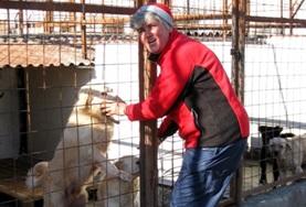 Volontär i Rumänien – Praktik och volontärarbete i Östeuropa : Veterinär & Djurvård Volontär i Rumänien – Praktik och volontärarbete i Östeuropa : Veterinär & Djurvård