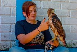 Volontär i Mexiko : Veterinär & Djurvård Volontär i Mexiko : Veterinär & Djurvård