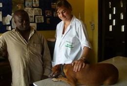 Volontär i Ghana : Veterinär & Djurvård Volontär i Ghana : Veterinär & Djurvård